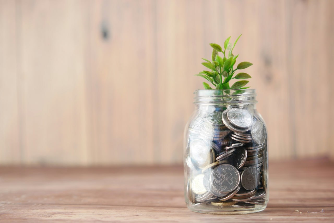 About our grants